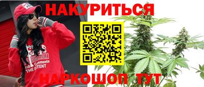 мет Кингисепп