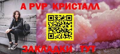 мет Кингисепп