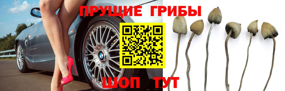 Галлюциногенные грибы прущие грибы  Вход с VPN  где можно купить наркотик  Кострома 